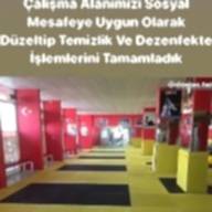 Bilimsel Araştırma Yazı